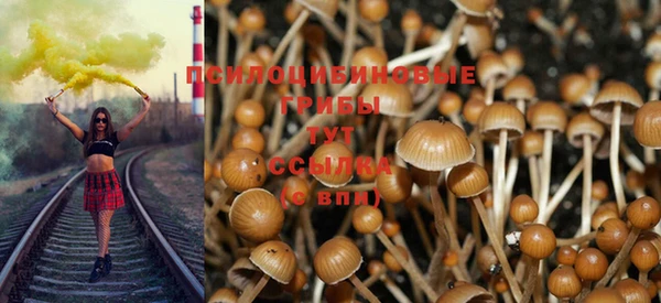 синтетический гашиш Саяногорск