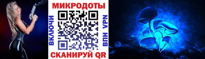 ОМГ ОМГ ссылки  закладки  Назрань  Галлюциногенные грибы мицелий 