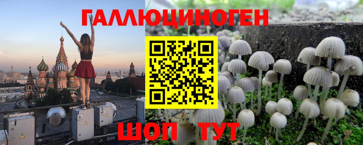 Галлюциногенные грибы MAGIC MUSHROOMS Назрань