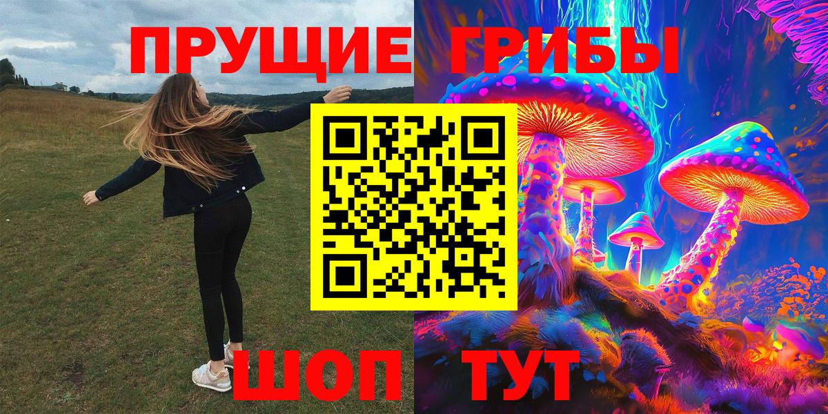Галлюциногенные грибы мицелий  Галлюциногенные грибы мицелий  сколько стоит  Вход с VPN  Назрань 